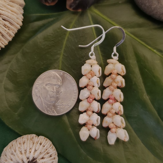 Shell Earrings Kauai Momi Shell Earrings Hawaiian Shell Earrings Rare Shells Momi Kahelelani Shells Kauai Kahelelani Shells Kauai Shells