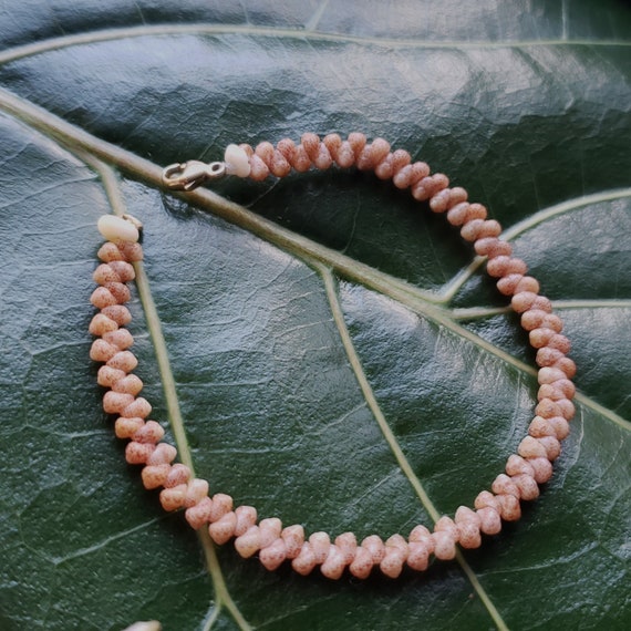 Kahelelani shell Bracelet Sea Shell Bracelet Kauai Shell Jewelry Eco Friendly Natural Shell Bracelet Kauai Kahelelani Shells Hawaiian Shells