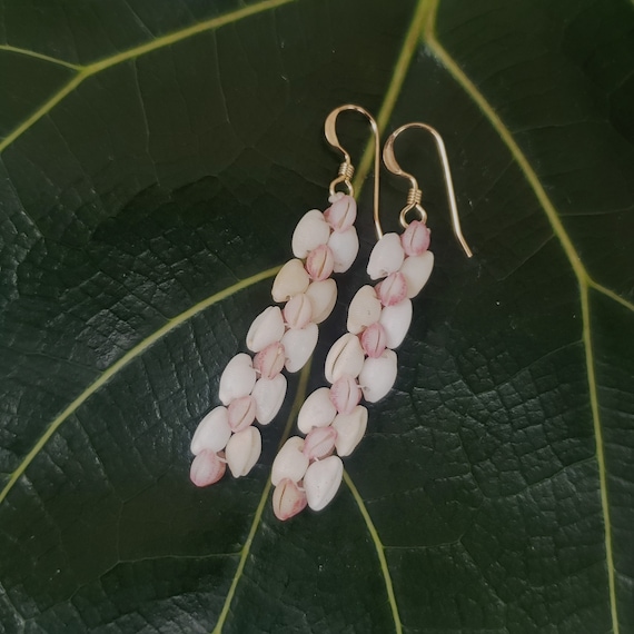 Kauai Trivia Shell Earrings: Drift Cowrie Shells, 14kt Gold Filled, Rare Hawaiian Cowrie Shells, Beach Jewelry, Beach Shell Earrings