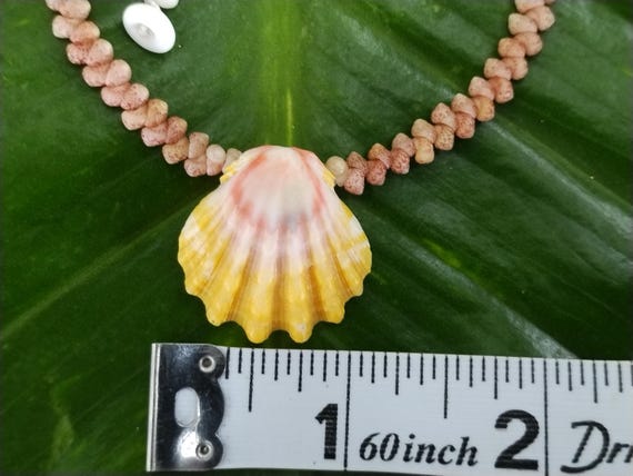 Sunrise Shell Anklet: 10.25' inch, Puka Shell Clasp, Kahelelani Shells, Natural Shell Jewelry, Hawaiian Jewelry