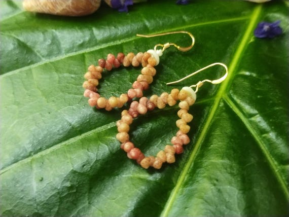 Seashell Earrings Kauai Kahelelani Earrings Hoop Earrings Authentic Kauai Kahalelani Shells Jewelry Hoop Earrings Kahelelani Niihau Shell