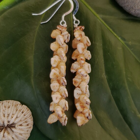 Shell Earrings Kauai Shell Earrings Hawaiian Shell Earring Traditional Weave Momi Shells Kahelelani Shells Kauai Beach Shell Hawaiian Shells