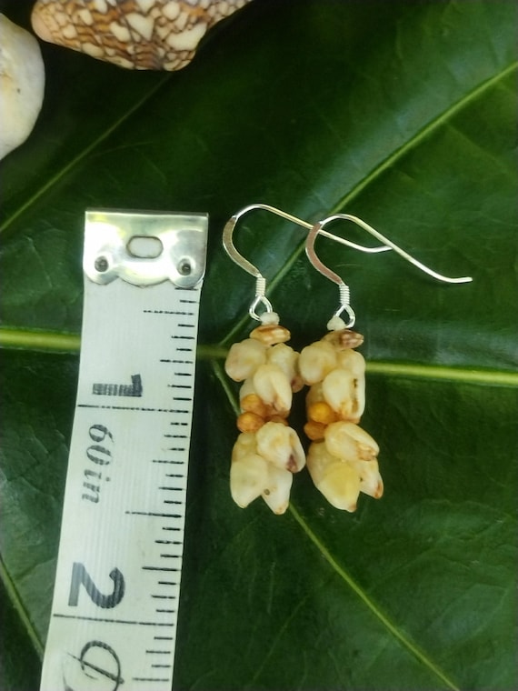 Shell Earrings Kauai Kahelelani Shell Earrings Hawaiian Momi Shell Earrings Momi Shells Kahelelani Shells Kauai Momi Shells Niihau Shell