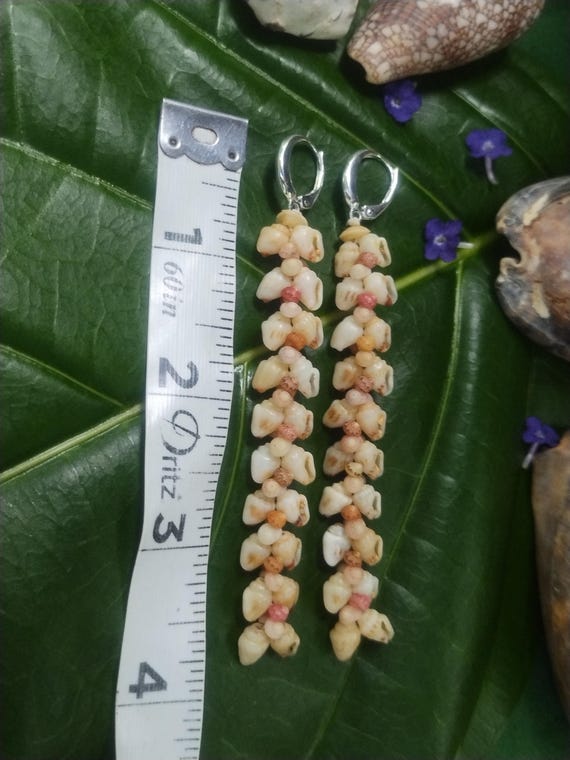 Shell Earrings Kauai Kahelelani Shell Earrings Hawaiian Momi Shell Earrings Momi Shells Kahelelani Shells Kauai Momi Shells Niihau Shell