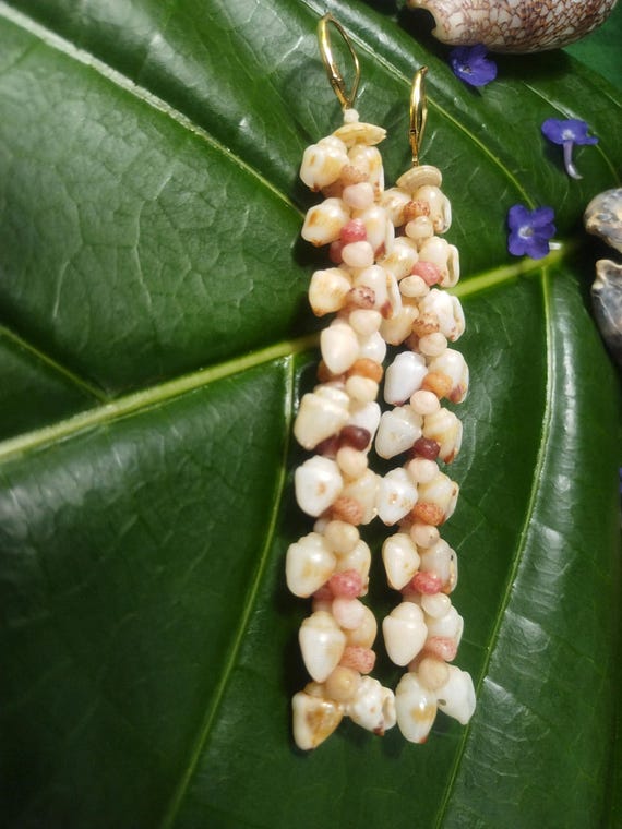 Shell Earrings Kauai Kahelelani Shell Earrings Hawaiian Momi Shell Earrings Momi Shells Kahelelani Shells Kauai Momi Beach Shells Rare Shell