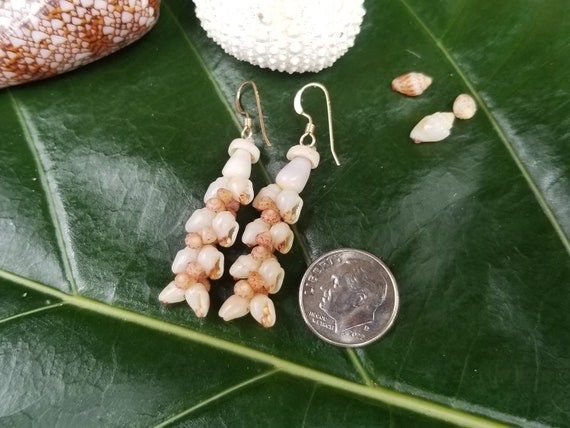 Kahelelani Shell Earrings: Kauai Momi Shells, Dwarf Cone Shells, Puka Shells, 14kt Gold Filled Wires