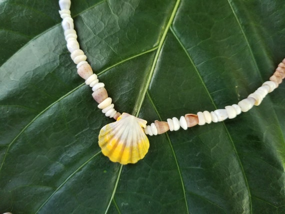 Sunrise Shell Lei Kauai Kahelelani Shell Lei Hawaii Shells Beach Jewelry Eco-Friendly Collected Rare Shells Island Mermaid Sunrise Shell