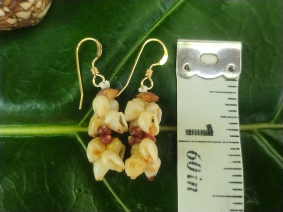Shell Earrings Kauai Kahelelani Shell Earrings Hawaiian Momi Shell Earrings Momi Shells Kahelelani Shells Kauai Momi Beach Shells Rare Shell