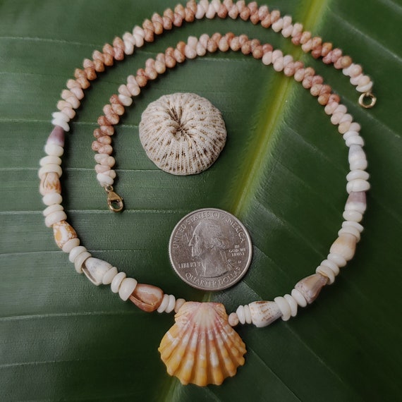 Sunrise Shell Lei Kauai Kahelelani Shell Lei Hawaii Shells Beach Jewelry Eco-Friendly Collected Rare Shells Island Mermaid Sunrise Shell