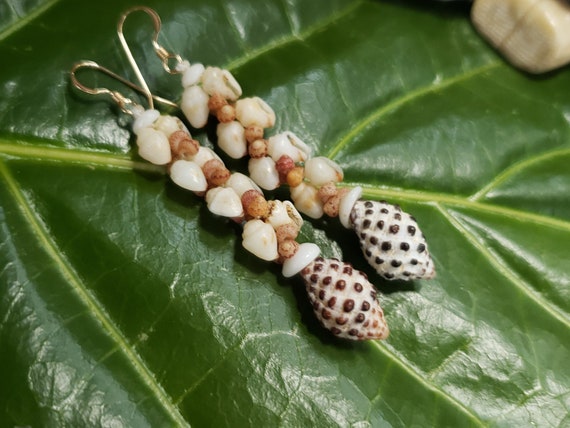 Shell Earrings Kauai Kahelelani Shell Earrings Hawaiian Momi Shell Earrings Momi Shells Kahelelani Shell Kauai Momi Ni'ihau Shell Jewelry