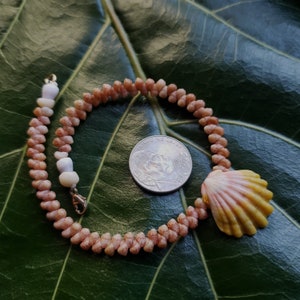 May include: A pink and yellow seashell charm hangs from a brown and white shell necklace. The necklace is on a green leaf.