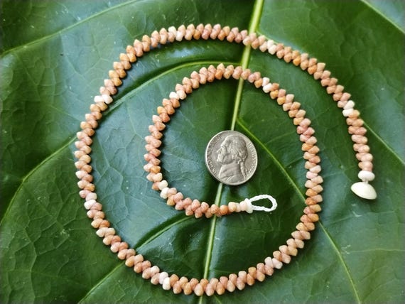 Shell Jewelry Shell Necklace Shell Lei Rare Shells Puka Shell Jewelry Shells Kauai Shell Necklace Hawaii Shell Jewelry Kahelelani Shell Lei