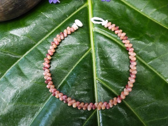 Shell Bracelet Kauai Kahelelani Shell Bracelet Eco Friendly Natural Kauai Niihau Shell Hawaiian Shell Jewelry Rare Shells Shell Jewelry