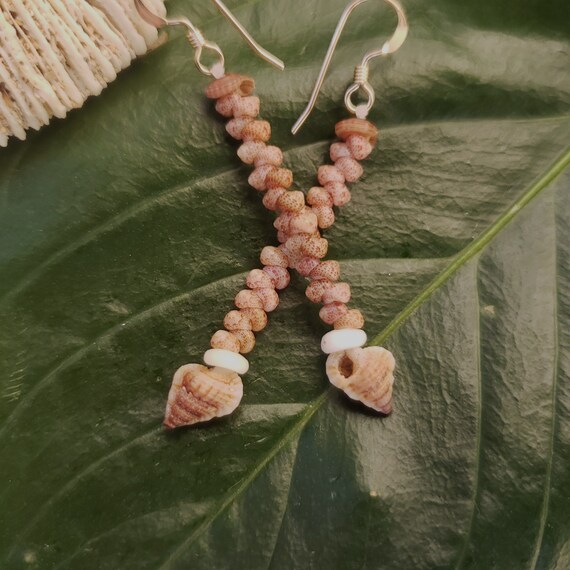 Shell Earrings Kahelelani Shell Earrings Hawaiian Tiny Triton Shells Kauai Eco Friendly Collected Shells Purple Gyre Triton Shells RareShell