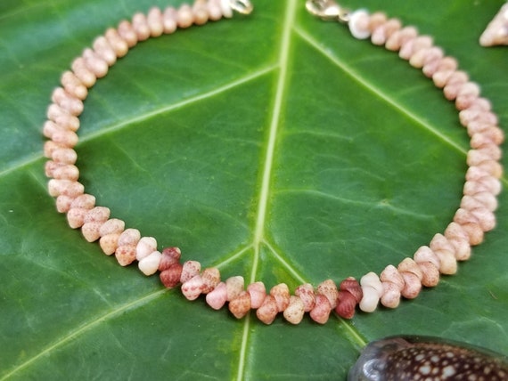Kahelelani shell Bracelet Sea Shell Bracelet Kauai Shell Jewelry Eco Friendly Natural Shell Bracelet Kauai Kahelelani Shells Hawaiian Shells