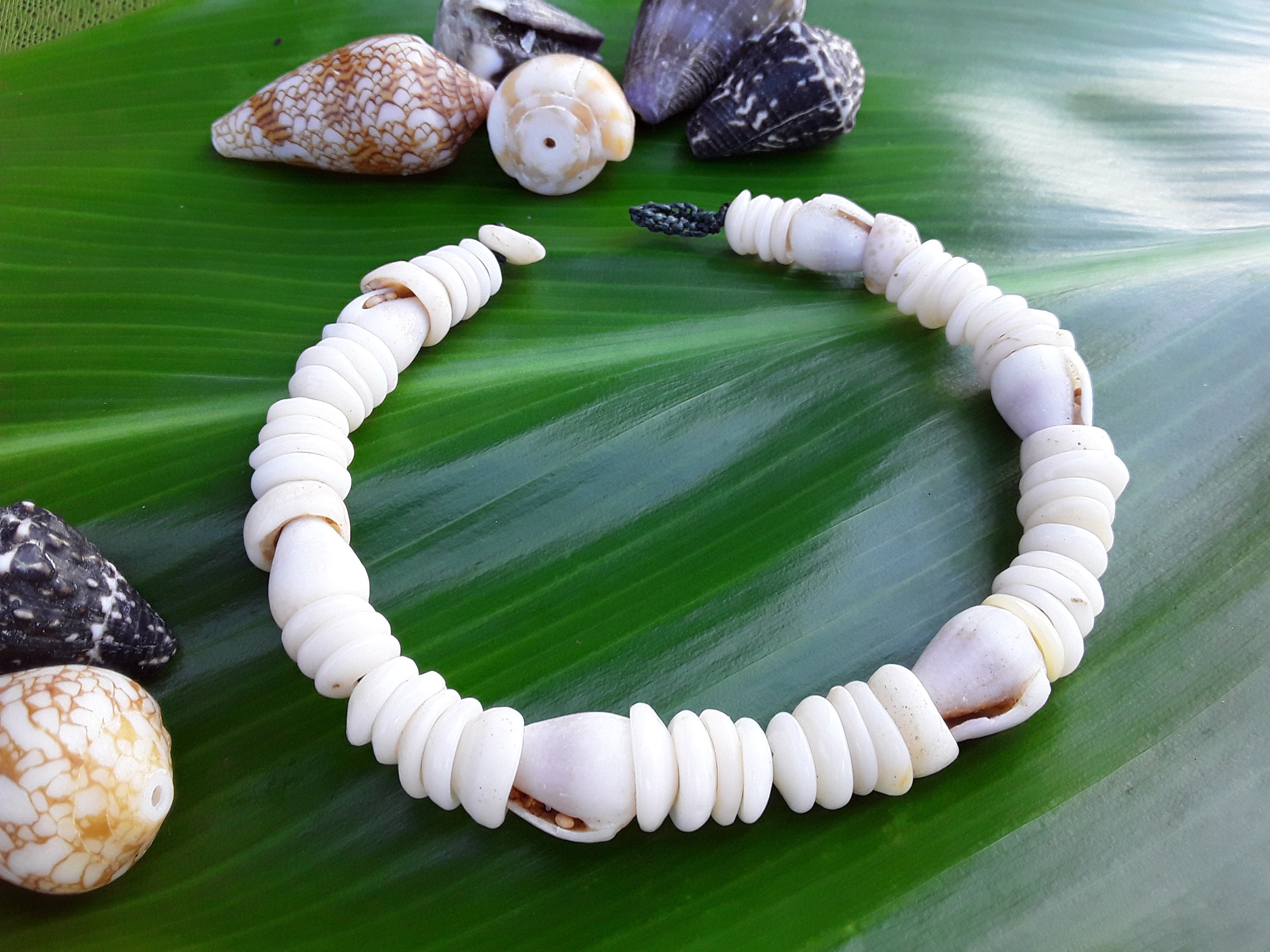 Men's Puka Shell Bracelet Hawaiian Shell Jewelry Seashell Etsy