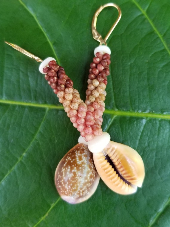 Hawaiian Cowrie Shell Earrings Kauai Kahelelani Shell Earrings Eco Friendly Island Earrings Authentic Kauai Kahelelani Shells Rare Shells