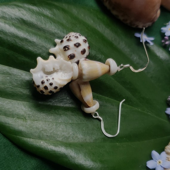 Shell Earrings Puka Shell Earrings Hawaiian Shell Jewelry Kauai Shells Eco Friendly Collected Shells Kauai Shells Island Jewelry Rare Shells