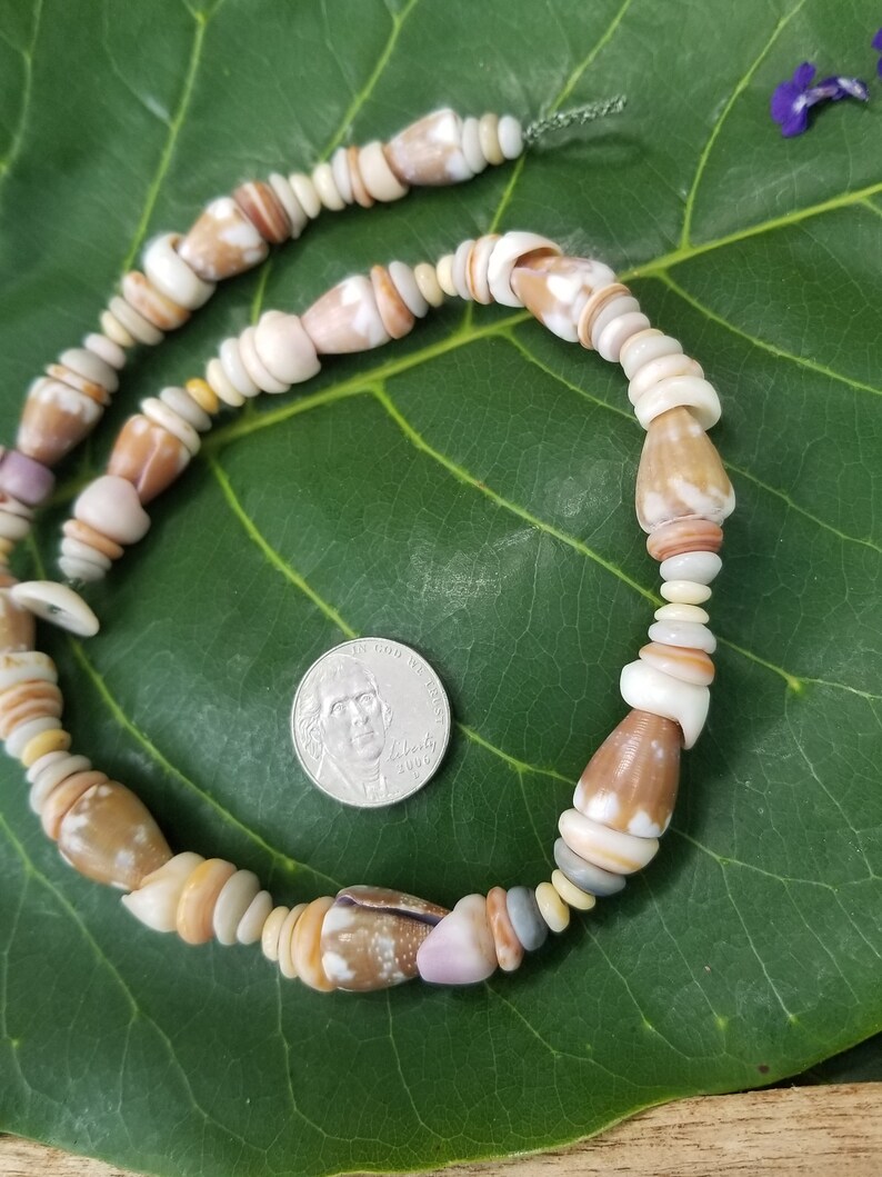 Puka Shell Necklace: 16.25' Inch, Rat Cone Shell Lei, Kauai Puka Shell ...