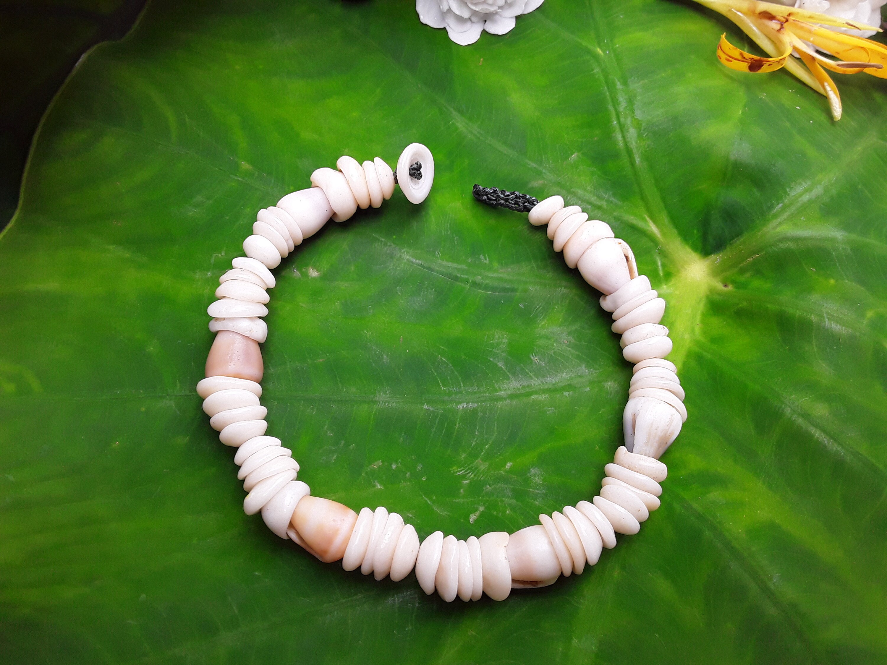 Spencer Hawaiian White Conch Clam Chips Puka Shell Pearl Necklace Choker  Bracelet Adjustable Extened Chain Gifts for Men and Women - Walmart.com