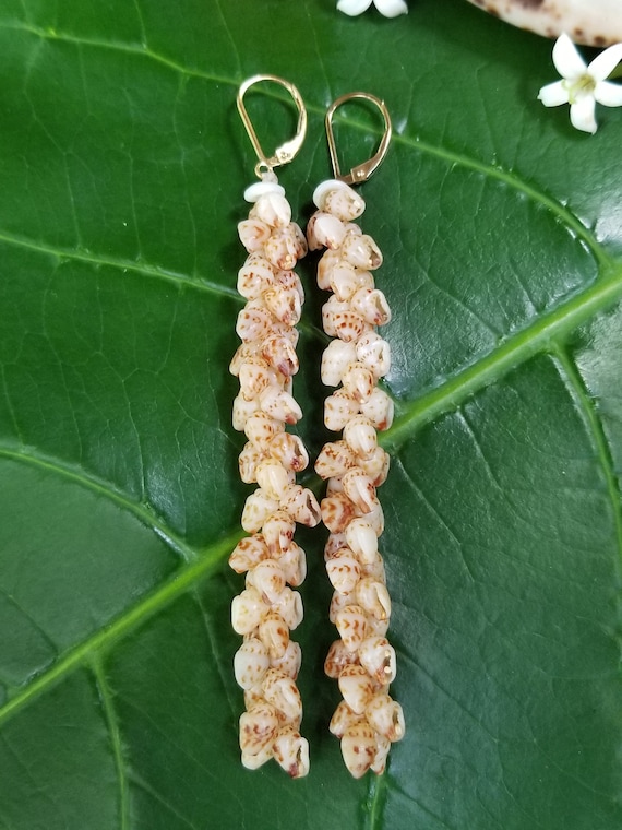 Momi Shell Earrings: Puka Shells, 14kt Gold Filled, Hawaiian Shell, Rare Momi Shells, Kauai Niihau Shell