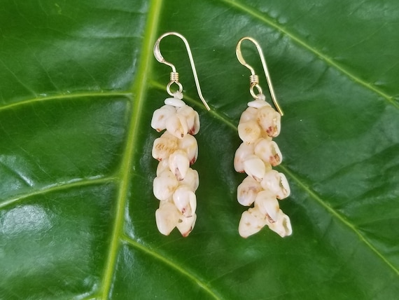 Shell Earrings Kauai Shell Earrings Hawaiian Shell Earring Traditional Weave Momi Shells Kahelelani Shells Kauai Beach Shell Hawaiian Shells