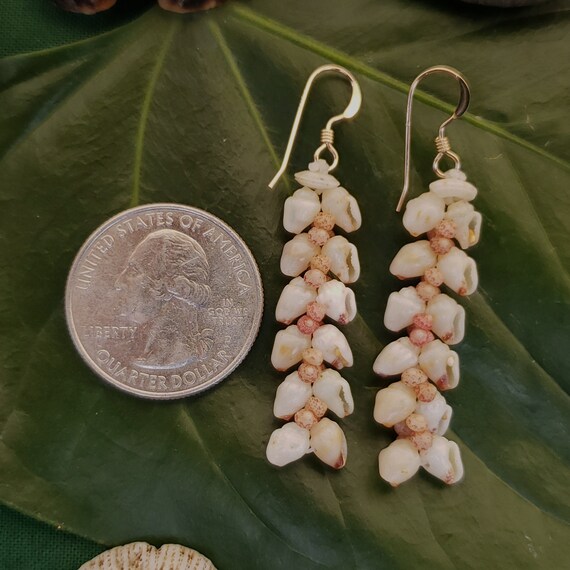 Shell Earrings Kauai Shell Earrings Hawaiian Shell Earring Traditional Weave Momi Shells Kahelelani Shells Kauai Beach Shell Hawaiian Shells