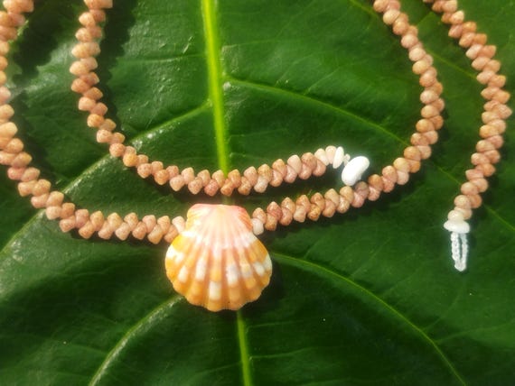 Sunrise Shell Lei: Kauai Kahelelani Shells, Sunrise Shell, Puka Shells, Hawaii Shells Beach Jewelry, Eco-Friendly Collected Rare Shells