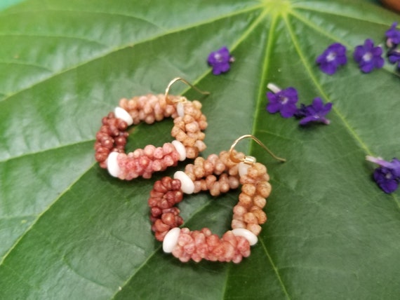 Hoop Earrings: 2.5' inch, Pink, Burgundy & Beige Kahelelani Shells, Puka Shells, Gold Filled, 50lb Nylon String, Three Strand