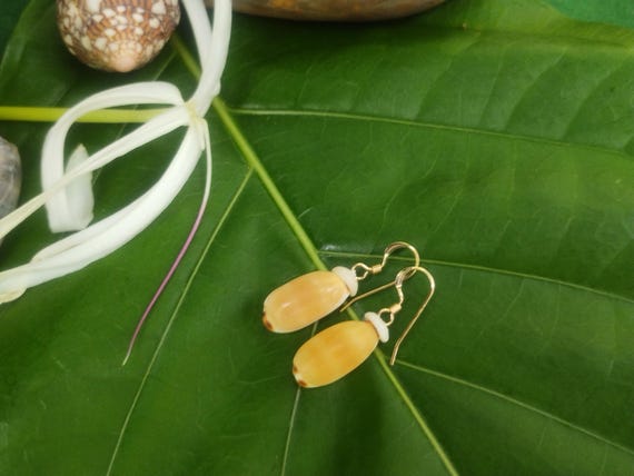 Shell Earrings Cowrie Shell Earrings Puka Shell Earrings Shells Authentic Kauai Shell Jewelry Hawaiian Seashell Earrings Isabella Cowrie