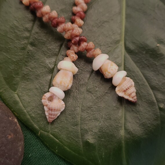 Shell Earrings Kahelelani Shell Earrings Hawaiian Tiny Triton Shells Kauai Eco Friendly Collected Shells Purple Gyre Triton Shells RareShell