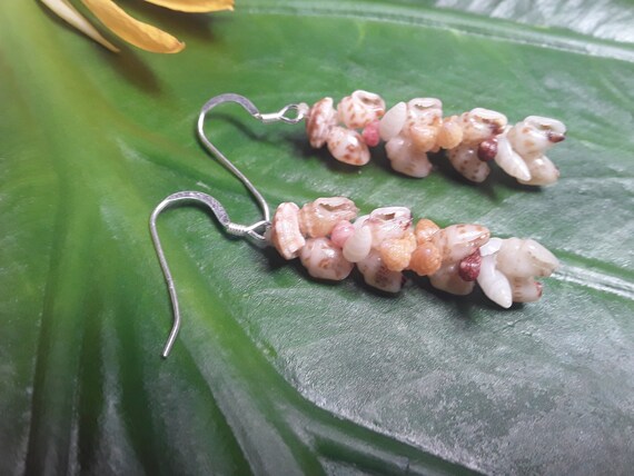 Shell Earrings Kauai Shell Earrings Hawaiian Shell Earrings Heleconia Traditional Weave Momi Shells Kahelelani Shells from Kauai Beach Shell
