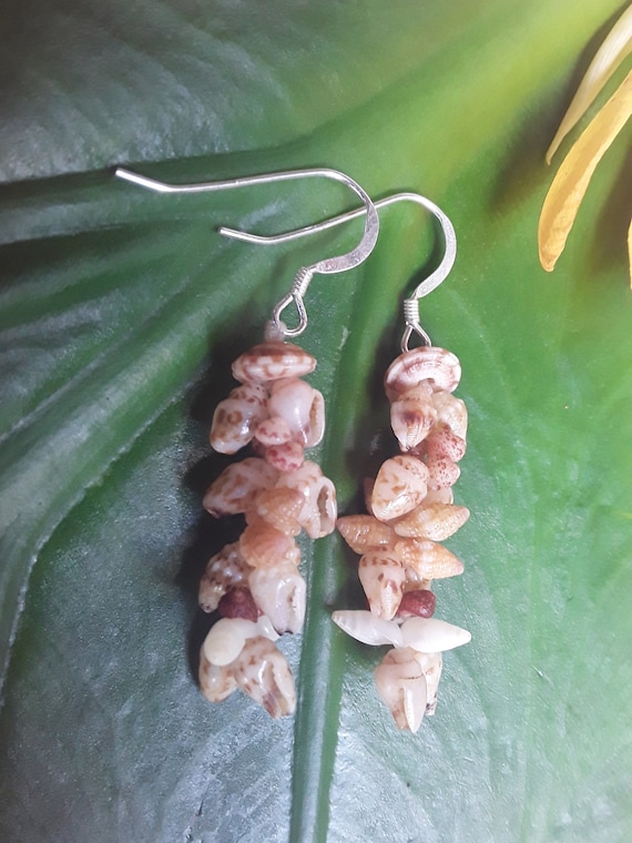 Shell Earrings Kauai Momi Shell Earrings Hawaiian Kahelelani Shell Earrings Rare Momi Kahelelani Shells Kauai Sundail Shells Niihau Earrings