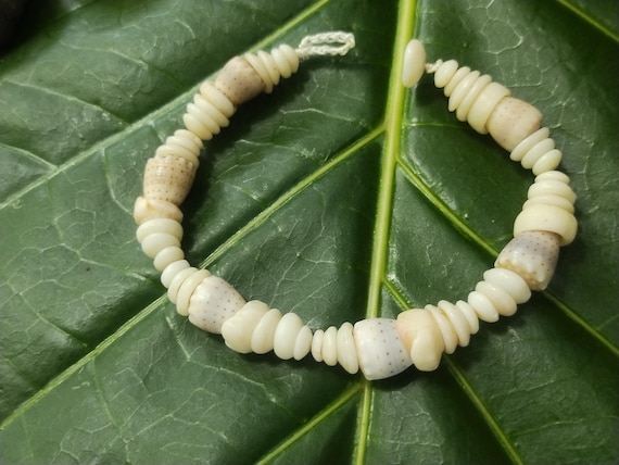Puka Shell Bracelet Hawaiian Puka Shell Jewelry Puka Shells Beach Bracelet Kauai Puka Shell Bracelet Island Seashell Jewelry Eco Friendly