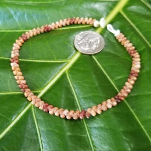 May include: A handcrafted anklet made of small, natural seashells in shades of brown and tan. The anklet is displayed on a large green leaf, with a US quarter coin next to it for size reference. The anklet is secured with a white string.