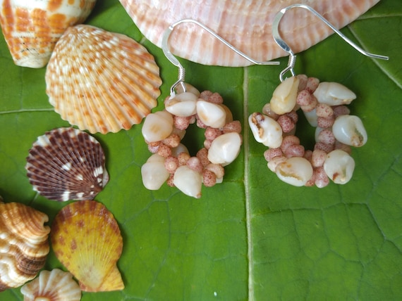 Shell Earrings - Kauai Shell Earrings - Hawaiian Shell Earrings- Hoop Earrings - Rare Momi Kahelelani Shells from Kauai Shell Jewelry Shells