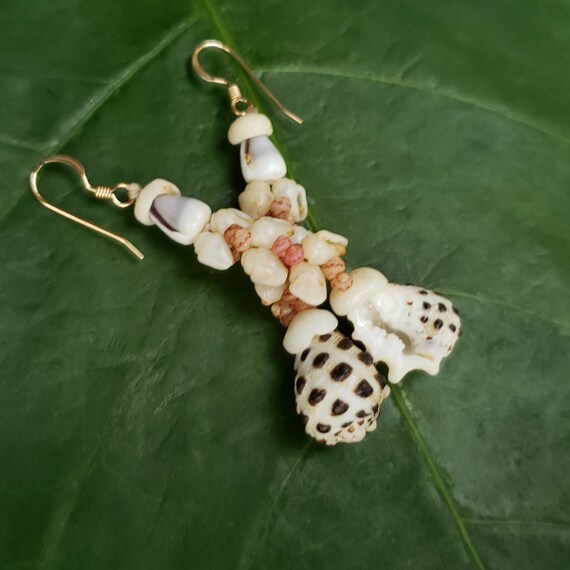 Shell Earrings Kauai Shell Earrings Hawaiian Shell Earring Shells Momi Shell Kahelelani Shells Kauai Beach Shell Hawaiian Shells beach Shell