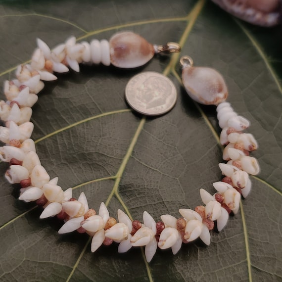 Kahelelani Shell Bracelet Laike Shell Bracelet Kauai Art Shell Jewelry Natural Eco Friendly Hand Picked Shells Niihau Shells Collected Kauai