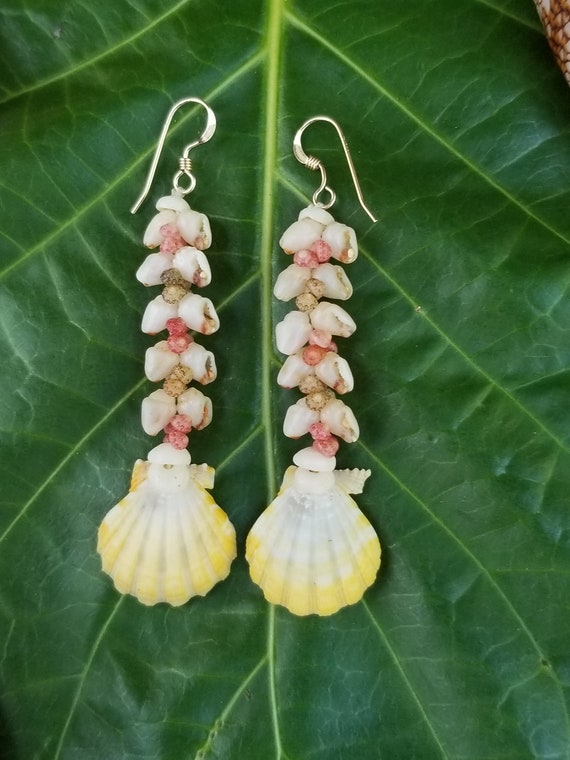 Sunrise Shell Earrings Kahelelani Shell Earrings Hawaiian Momi Shell Earrings Momi Shell Kahelelani Shells Kauai Momi Langford Pectin Shell