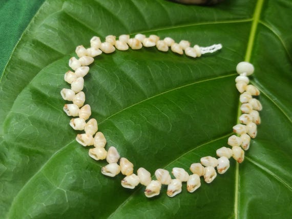 Kahelelani Shell Anklet Kahelelani Shells Beach Anklet Mermaids Anklet Hawaii Beach Anklet Shell Jewelry Hawaiian Kahelelani Shell Jewely