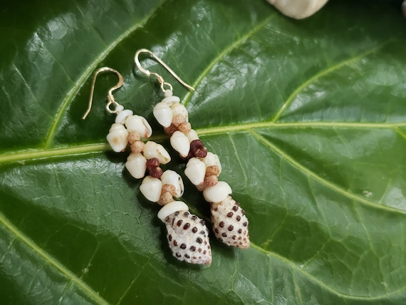 Shell Earrings Kauai Kahelelani Shell Earrings Hawaiian Momi Shell Earrings Momi Shells Kahelelani Shells Kauai Momi Beach Shells Rare Shell