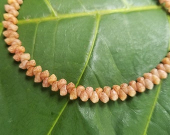 カヘレラニ シェル アンクレット: 9.5フィートのカヘレラニ シェル