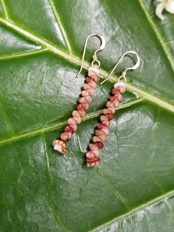 Shell Earrings Kahelelani Shell Earrings Hawaiian Shell Jewelry Kauai Eco Friendly Collected Kauai Shells Island Jewelry Beach Earrings