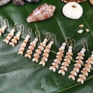 May include: Eight pairs of shell earrings with gold hooks. The earrings are made of small, white and brown shells strung together in a cascading pattern.