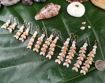 Shell Earrings Kauai Kahelelani Shell Earrings Hawaiian Momi Shell Earrings Momi Shells Kahelelani Shells Kauai Momi Beach Shells Rare Shell