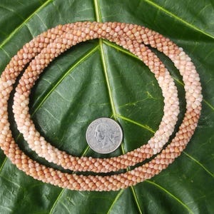 Rare Kahelelani Shell Lei: Kauai Hawaiian Heirloom Necklace