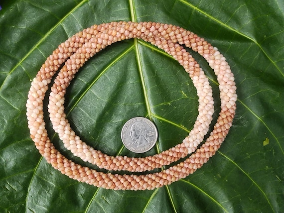 Shell Necklace Rare Shells Shell Lei Kauai Shells Hawaiian Shell Lei Heirloom Kauai Kahelelani Shell Lei Hawaiian Jewelry Niihau Shells