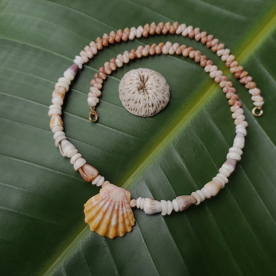 Sunrise Shell Lei: Kauai Kahelelani Shells Sunrise Shell, Dwarf Cone Shells, Puka Shells, 14kt Gold Filled Lobster Claw Clasp, Rare Shells