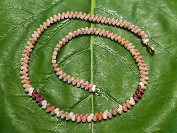 Shell Jewelry Shell Necklace Shell Lei Rare Shells Puka Shell Jewelry Shells Kauai Shell Necklace Hawaii Shell Jewelry Kahelelani Shell Lei