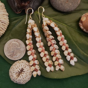 Muschelohrringe Kauai Muschelohrringe Hawaiianische Muschelohrringe Traditionelle Weave Momi Muscheln Kahelelani Muscheln Kauai Strand Muschel Ni&#39;ihau Muscheln